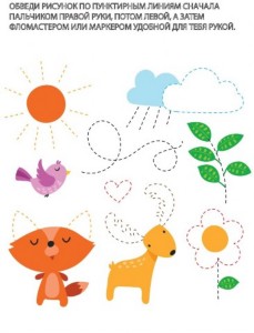 �����������