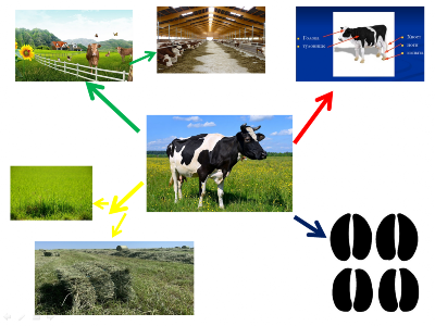 �����������